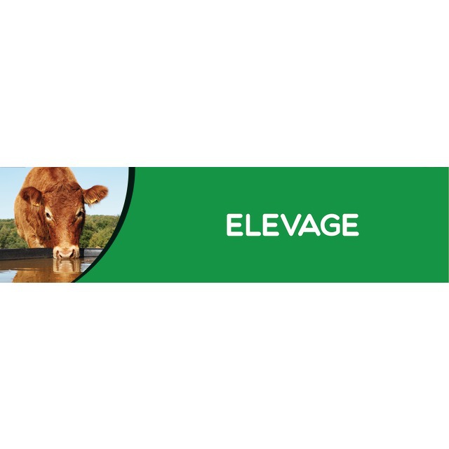 Bandeau Elevage PVC 0,3 X 980 X 250 MM Fond Vert référence fournisseur 9031218